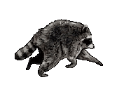 Jimothy
